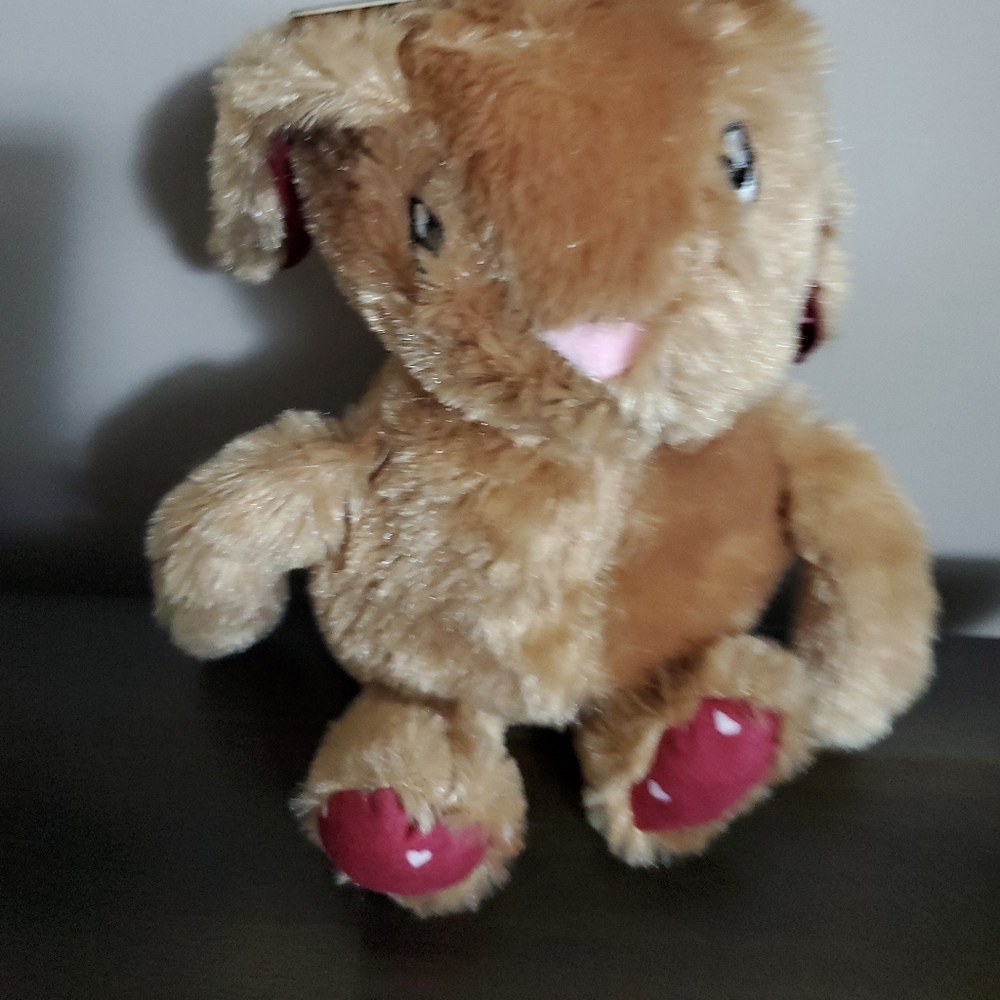 Tahari Dog Toy very Solf bunny 12” with squeaker